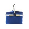 Cesta Picnic Cooler